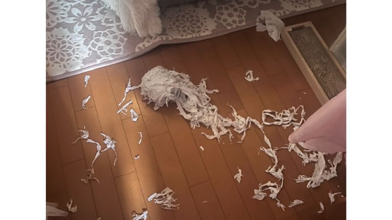 床に転がるトイレットペーパー