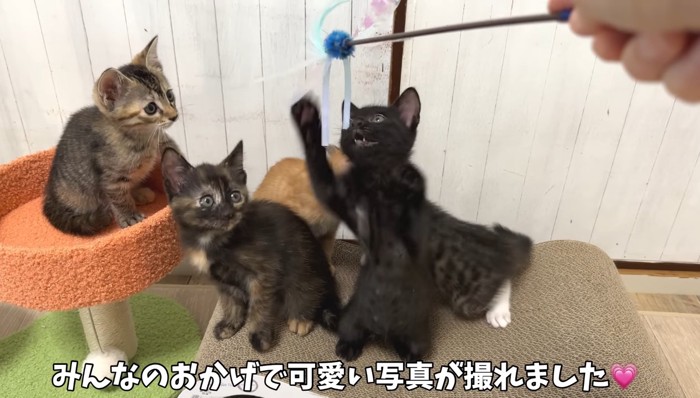 可愛い写真が撮れました