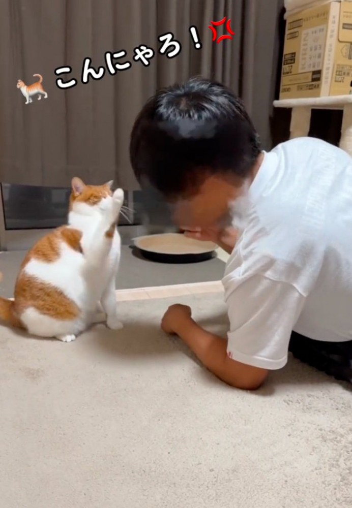 猫パンチ