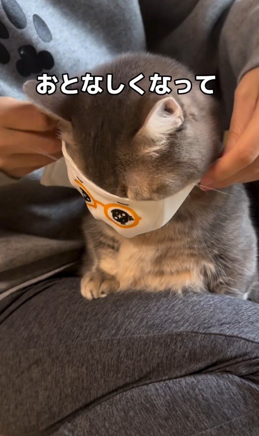 マスクをつけたココスくん