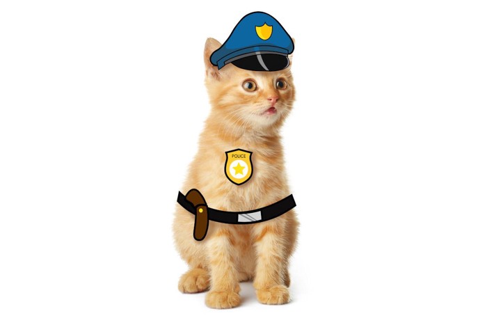 警察官に扮装した子猫