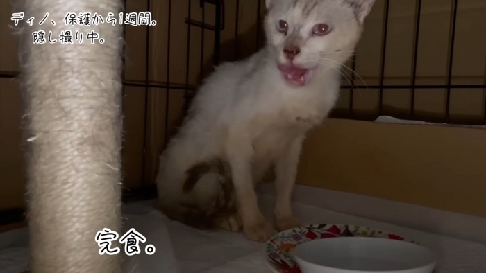 テロップ「完食。」