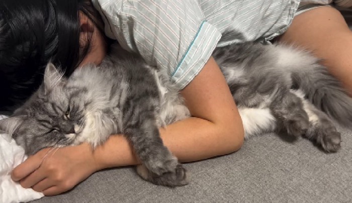 一緒に眠る猫