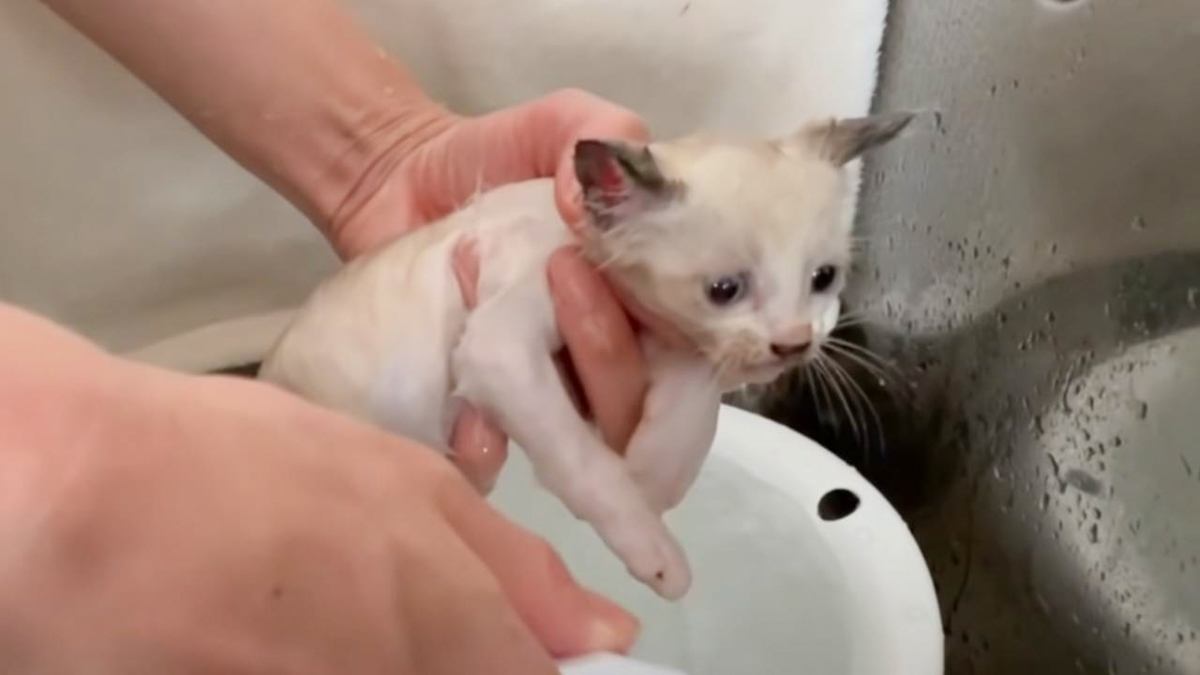 話題　テスト１