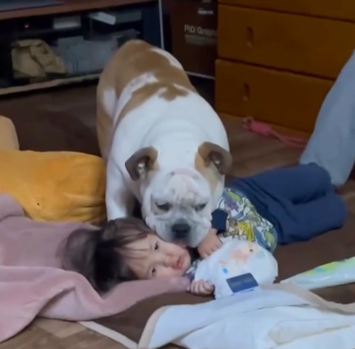 種子島で放浪していた犬を保護→お世話した男の子が『名付け親』になり…感動の結末に涙が止まらないと４万再生「素敵なご縁」「おめでとう」