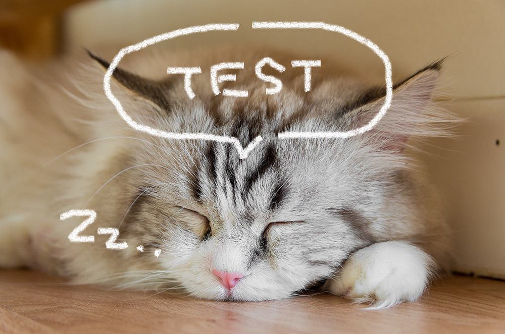 yahooRSSテスト　犬の脳腫瘍！ 症状から治療法まで