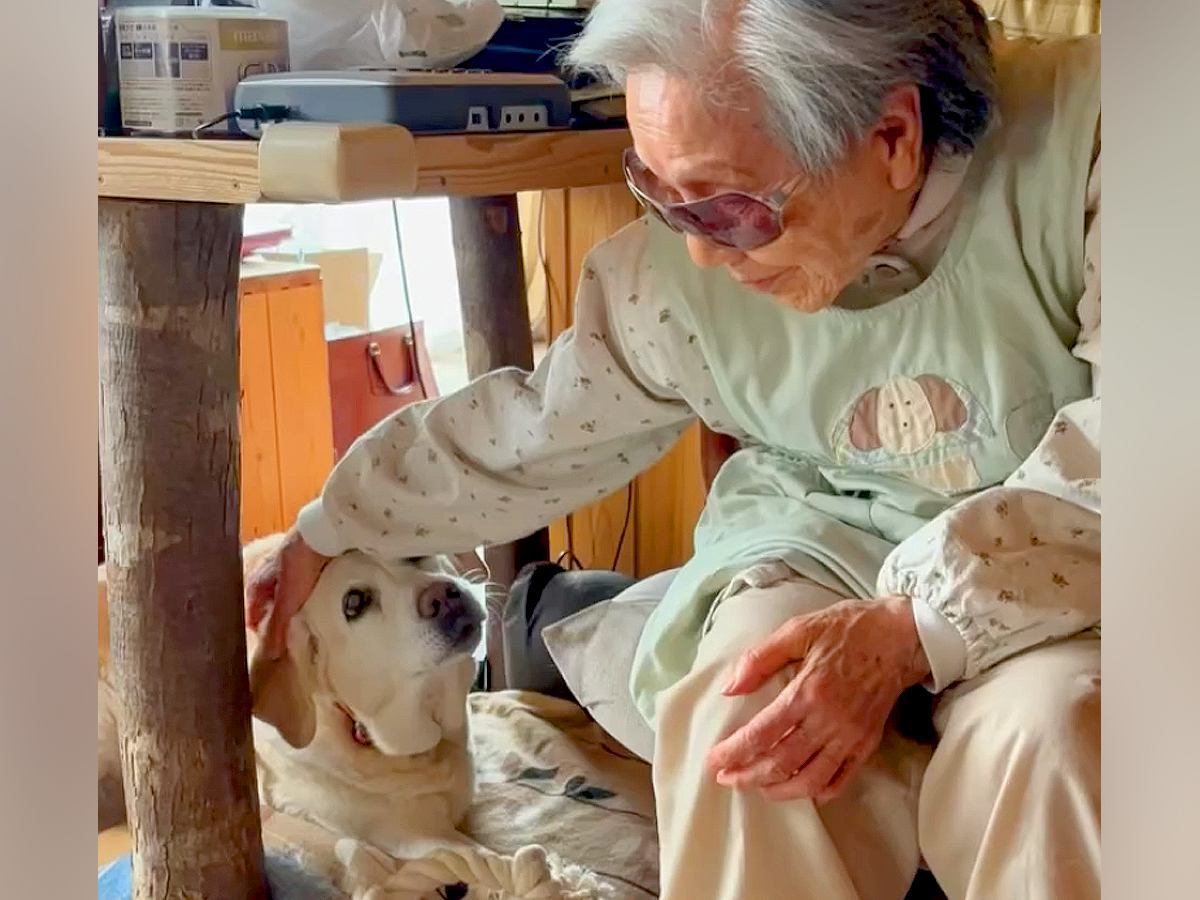 引退した元盲導犬が『8年間一緒に暮らしたおばあちゃん』に会いに行ったら…涙あふれる『再会の瞬間』が31万再生「猛烈に感動」「愛がすごい」