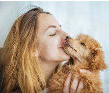 犬を過剰に可愛がる『リスク』6選　度を超えた甘やかしによるデメリットとは？