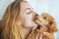 犬を過剰に可愛がる…の画像