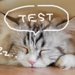 yahooRSSテスト　犬の脳腫瘍！ 症状から治療法まで