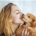 犬を過剰に可愛がる『リスク』6選　度を超えた甘やかしによるデメリットとは？