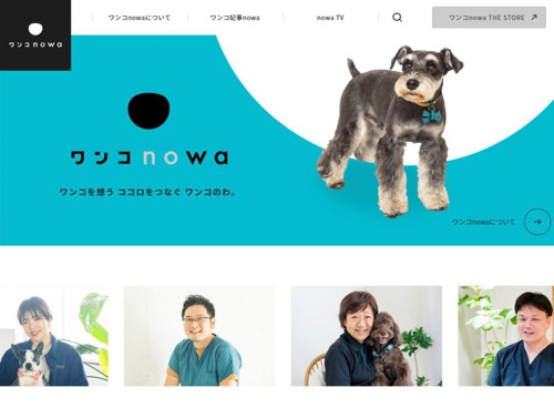 ワンコnowa