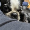 Next Thumbnail