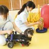 動物理学療法専攻のイメージ写真