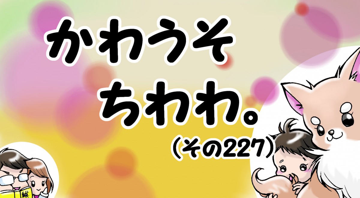 かわうそちわわ。【その227】「外じゃないよ？まだ玄関」