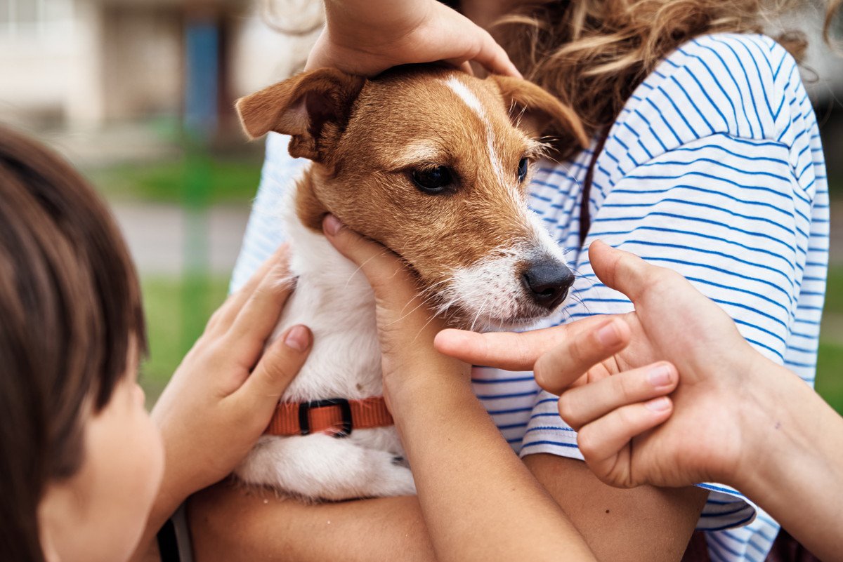 愛犬にベタベタしすぎてはいけない？　考えられる悪影響から適切な距離感まで解説