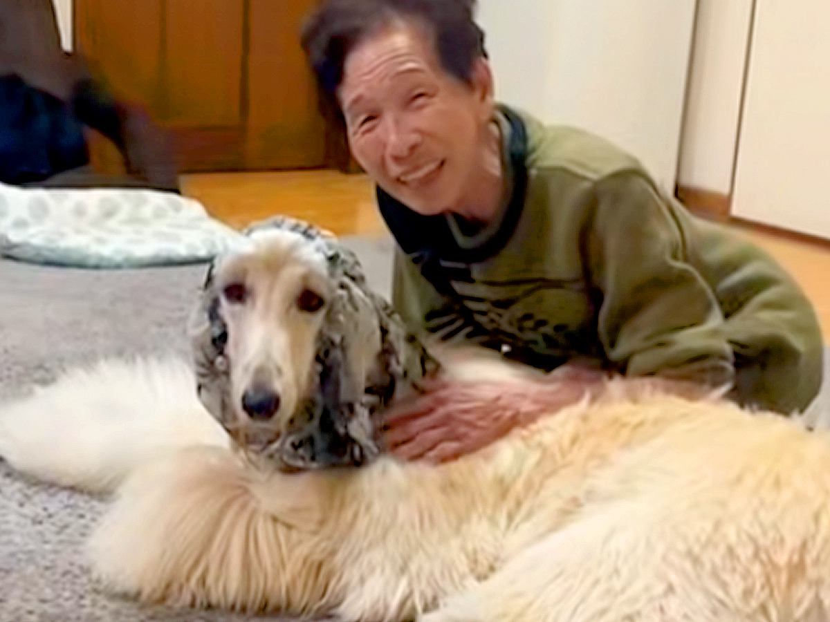 おばあちゃんの家に訪れた大型犬→『帰るよ』と伝えると…まさかの『人間の子どものような行動』が36万再生「素敵」「気持ちわかる」と反響