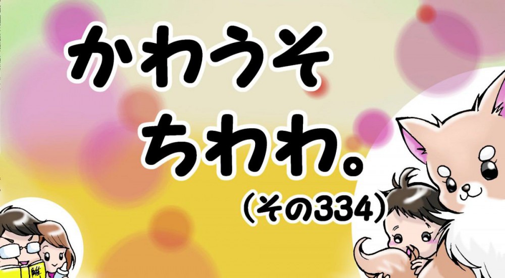 かわうそちわわ。【その334】「遊び食べで怒られたえっちゃん」