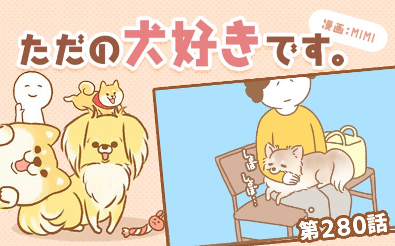 ただの犬好きです。【第280話】「やっぱり」