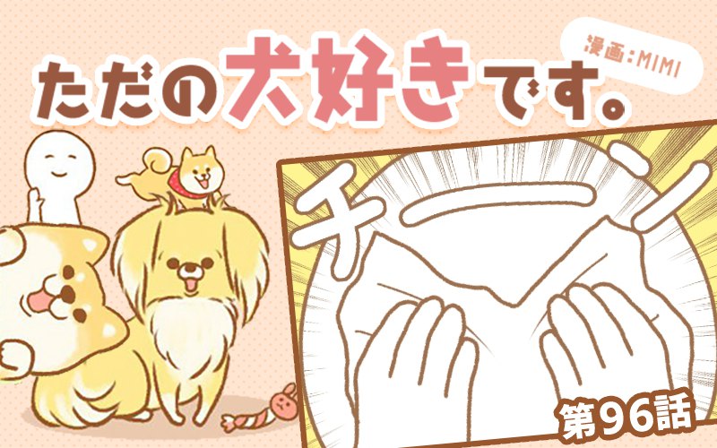 ただの犬好きです。【第96話】「犬は鼻で観る。」