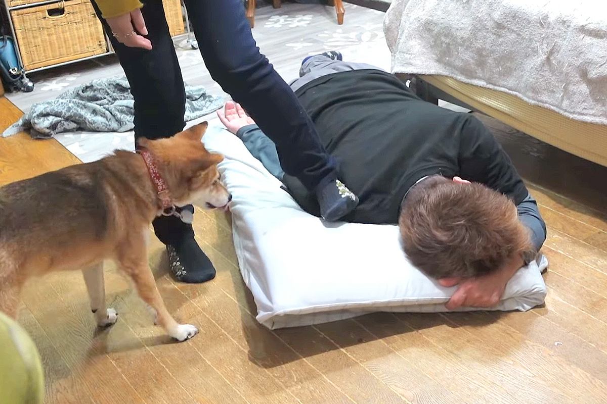 パパが痛みで悲鳴を上げたら、2匹の犬がやってきて…家族愛あふれる『優しい行動』に感動の声「本当に賢い」「ウルウルした…」「心配してる」