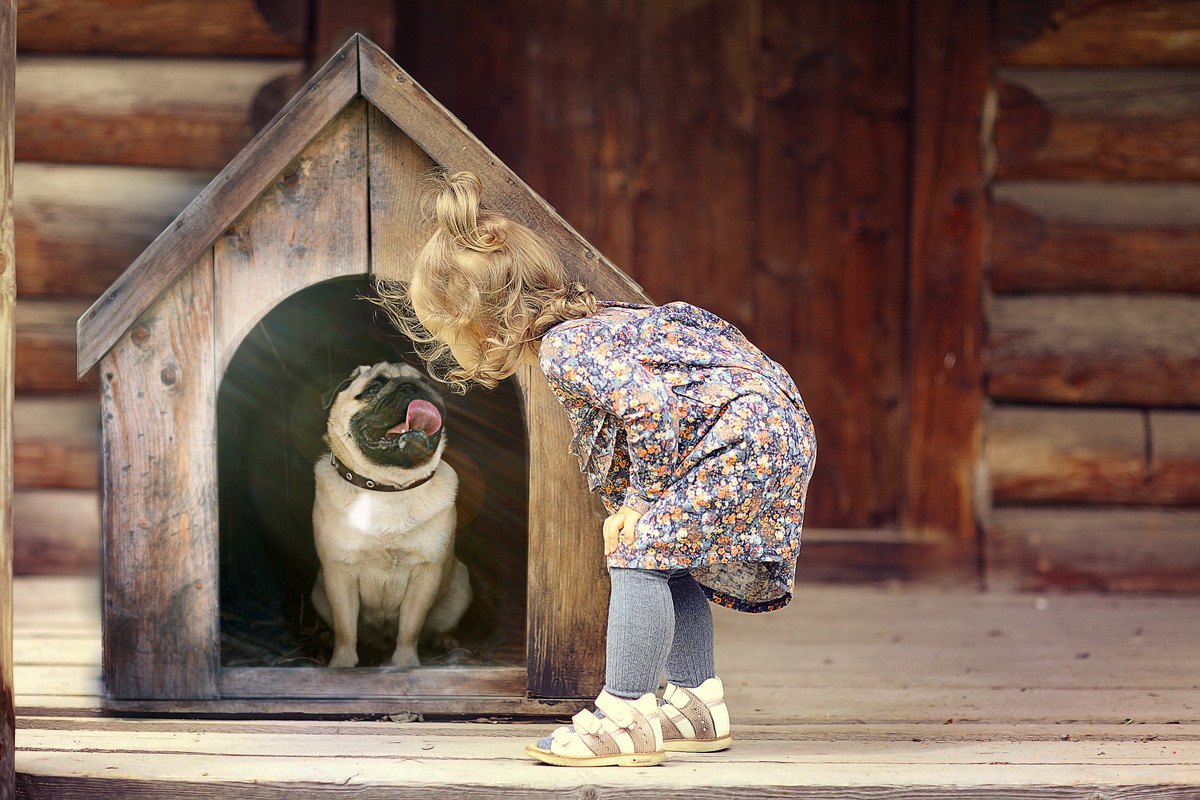 『犬用ハウス』を選ぶポイント6選！愛犬に合ったものってどんなもの？