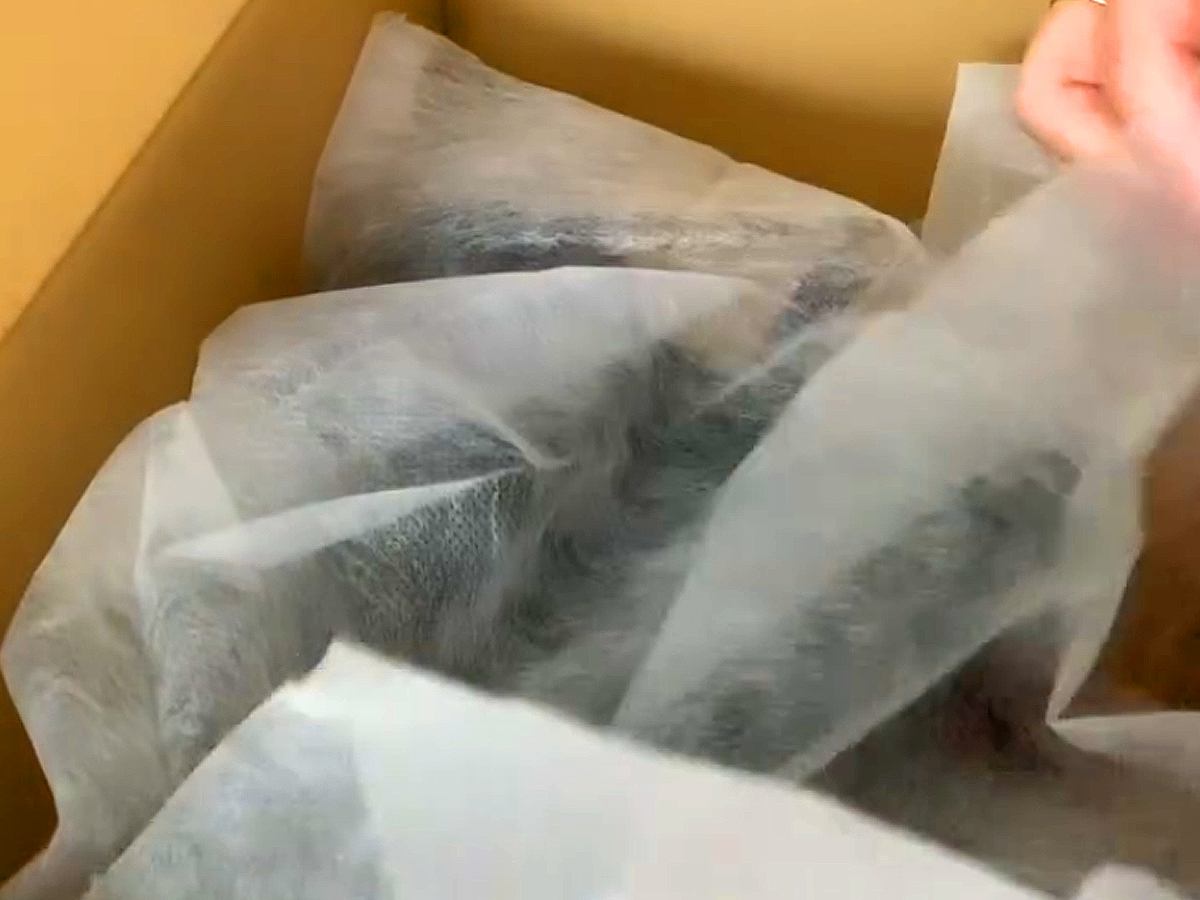 愛犬が亡くなり、突然家に届いた『お届け物』→中身を確認すると…思わず号泣してしまう光景が295万再生「反応に涙止まらん」「粋な贈り物」