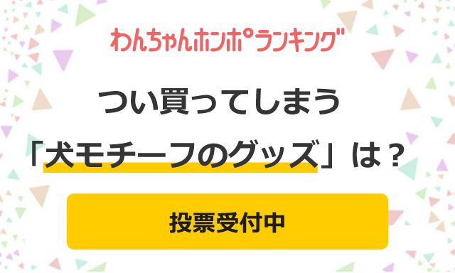 【投票受付中】ついつい買っちゃう犬モチーフのグッズといえば？