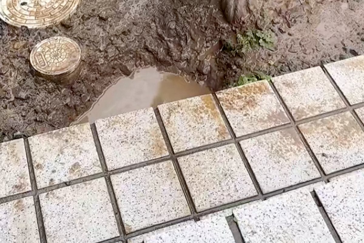 雨上がり『やけに大型犬が静かだな』と思い探した結果→お庭で遊んでいて…思わず叫びたくなる『絶望の光景』に反響「タヌキで草」「怒れないｗ」