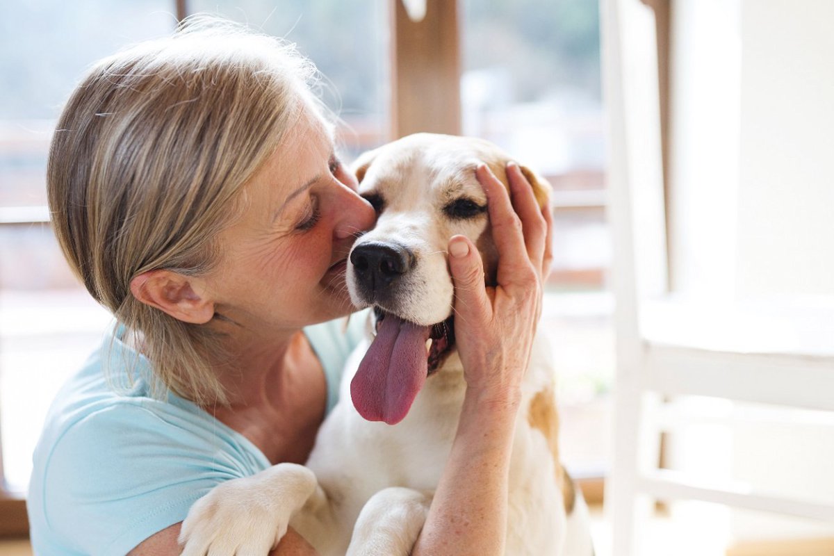 犬が飼い主にピタッとくっついてくる時の心理7選