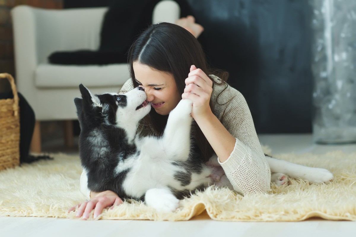 甘えるのが上手な犬がしている『5つの行動』