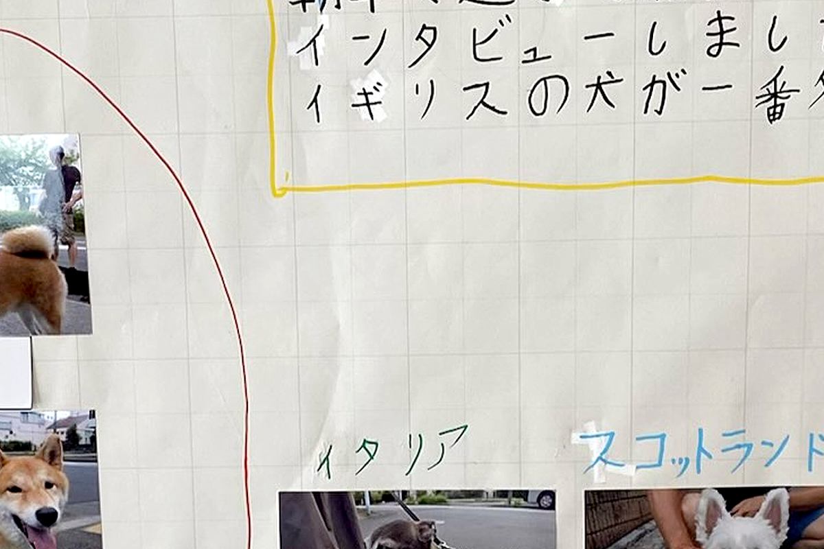 早朝、夏休みの自由研究をする娘→何をするのかと思ったら…まさかの『犬へのインタビュー』に6万いいね「素敵すぎ」「想像するだけで可愛い」