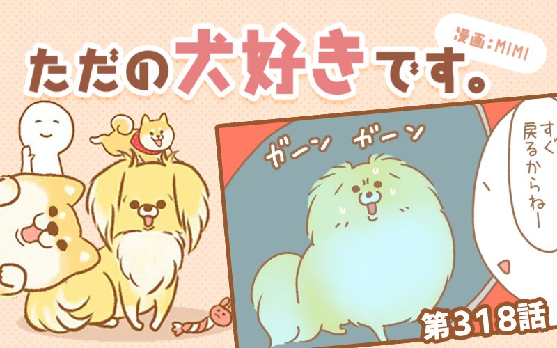 ただの犬好きです。【第318話】「お留守番」