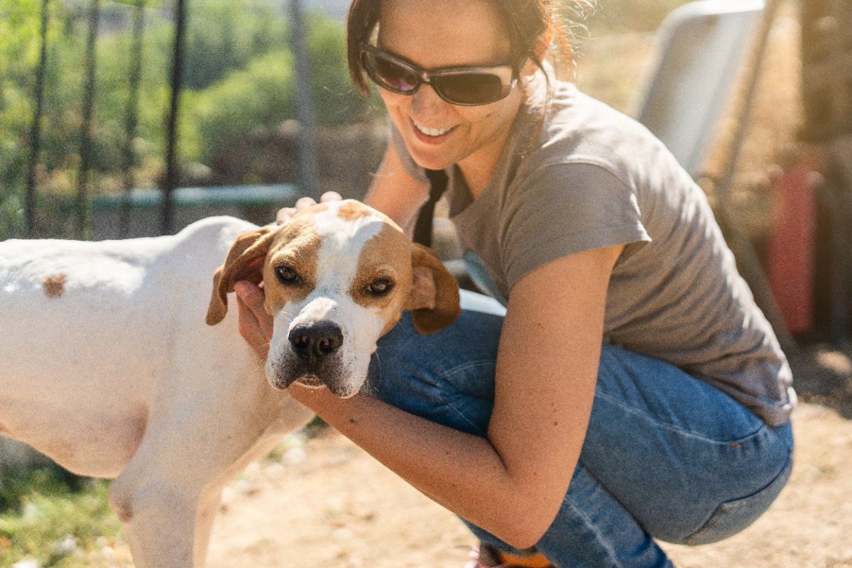 犬が不快に感じる『褒め方』5選　飼い主が勘違いしがちな避けるべき行動とは？