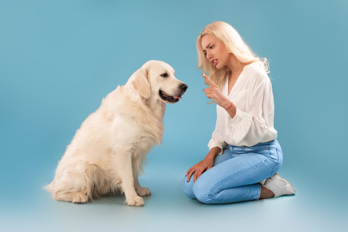 犬が『しつこく要求してくる』ときの絶対NG行為3つ　あなたの行動が愛犬をエスカレートさせることも…