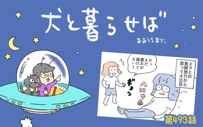 犬と暮らせば【第493話】「旅ロスってやつ」