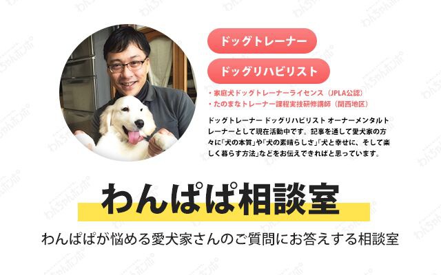 犬が散歩に行くと歩かなくなる…無理矢理引っ張って歩かせた方がいい？