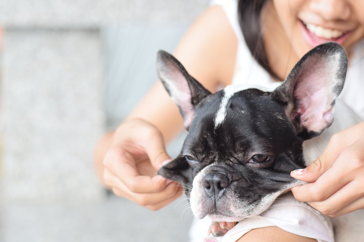 なぜ？犬の『皮膚がびよーんと伸びる』理由２選