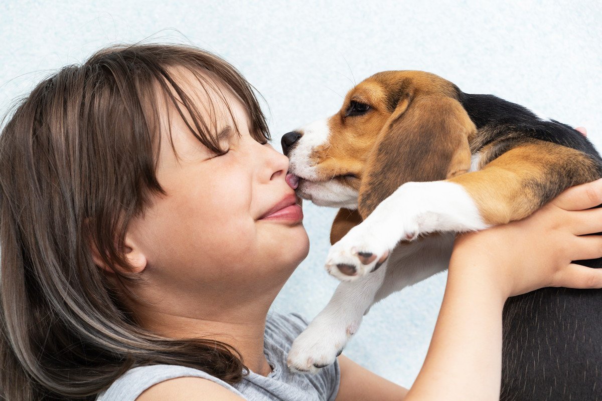 犬が人の顔を舐める時にすべき対処法3つ！やめさせたい場合の正しいしつけ方とは？