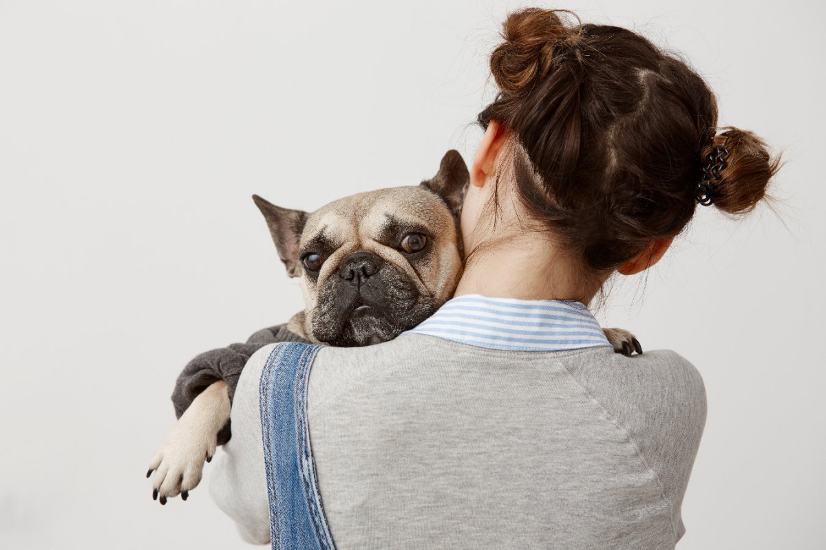 犬がいじけてしまった時にする仕草や態度４選　適切な対処法は？