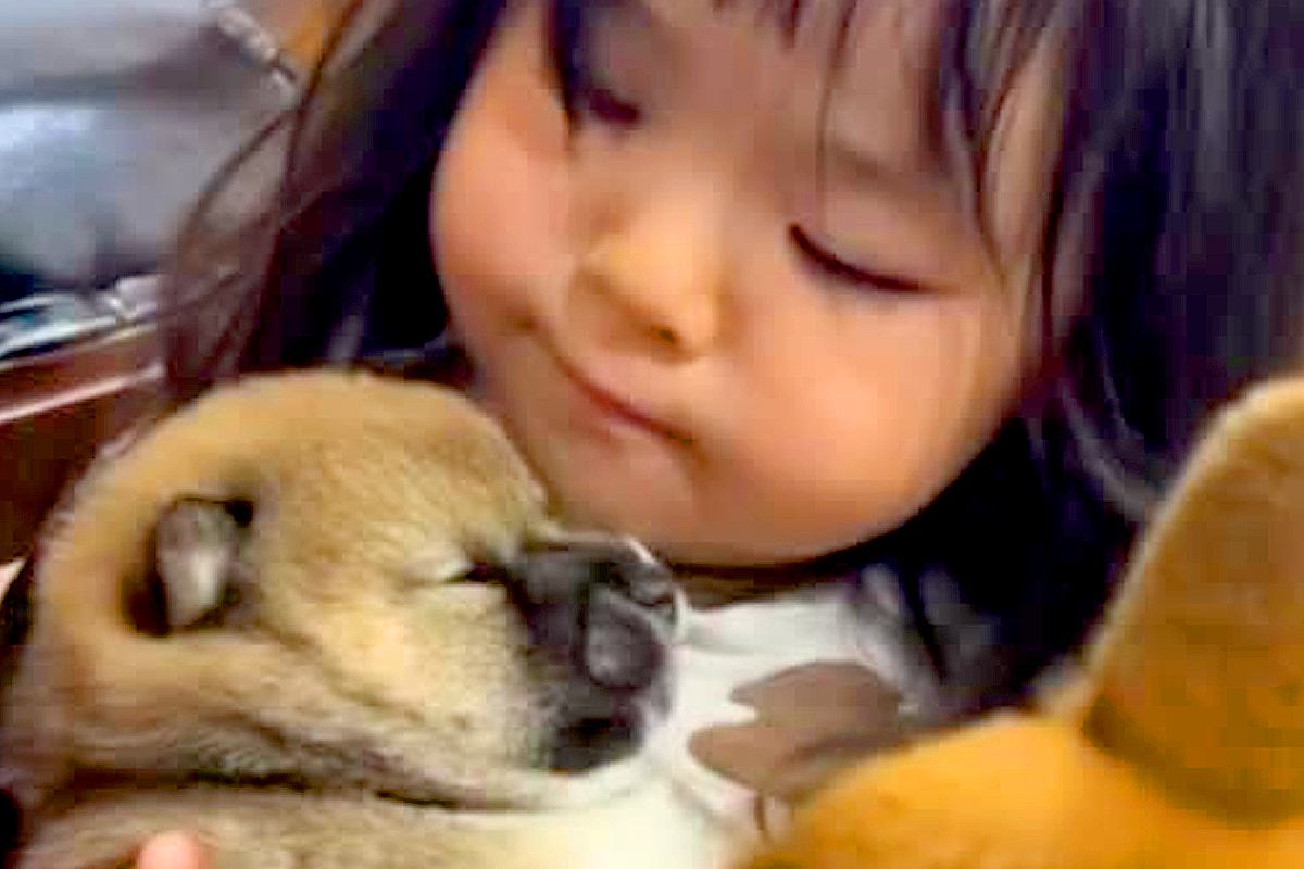 小さな女の子が『犬の赤ちゃん』を抱っこした結果…とんでもなく尊い『愛にあふれた光景』が13万再生「可愛いが可愛いを抱っこしてる」と絶賛