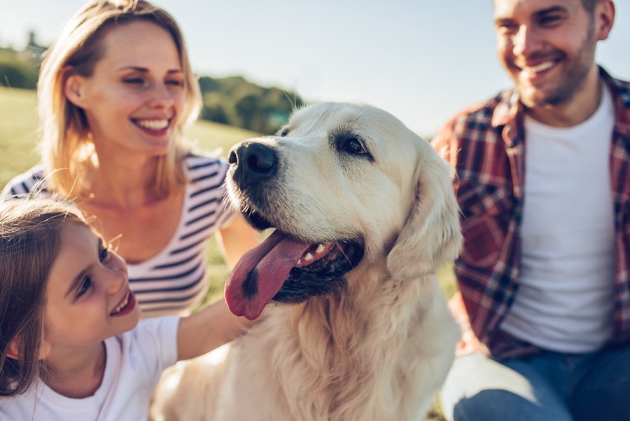 犬が家族にしか見せない行動３選！こんな仕草は安心している証拠かも♡