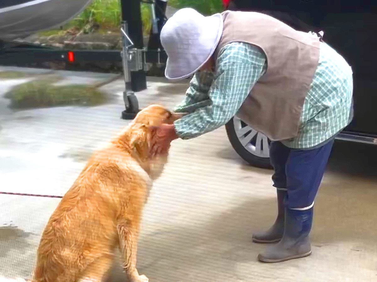 90歳のおばあちゃんと大型犬だけの秘密…家族さえも知らなかった『まさかの光景』が尊すぎると36万再生「両者、手慣れてて草」「平和で最高」