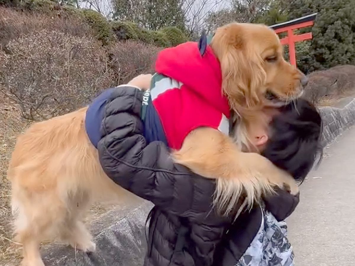 『高いところに登りたい』と駄々をこねる大型犬→乗せてみた結果…まるで『大きな赤ちゃんのような光景』に悶絶「最高に可愛い」「顔がたまらん」