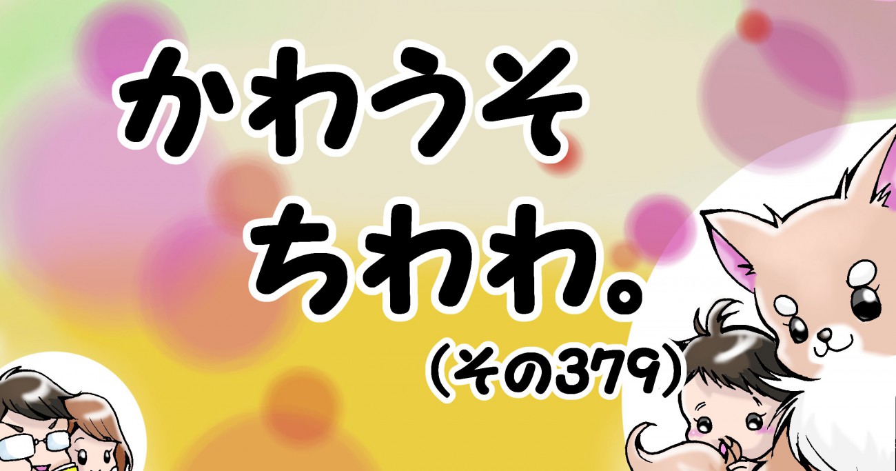 かわうそちわわ。【その379】「フィーユの為？自分の為？」