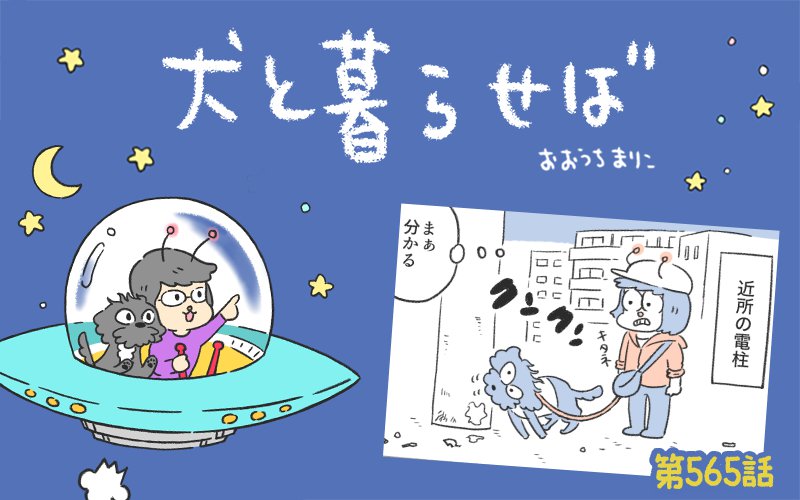 犬と暮らせば【第565話】「そのニオイ、正体不明につき」