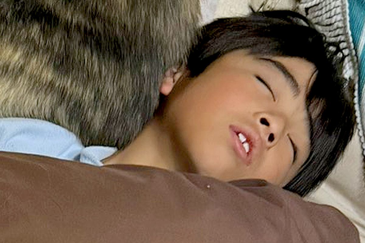お布団で眠る男の子→秋田犬が『一緒に寝たい』と近くに行き…絶対に寝場所を間違えている『まさかの一枚』に反響「お兄ちゃん優しい」「首がｗｗ」