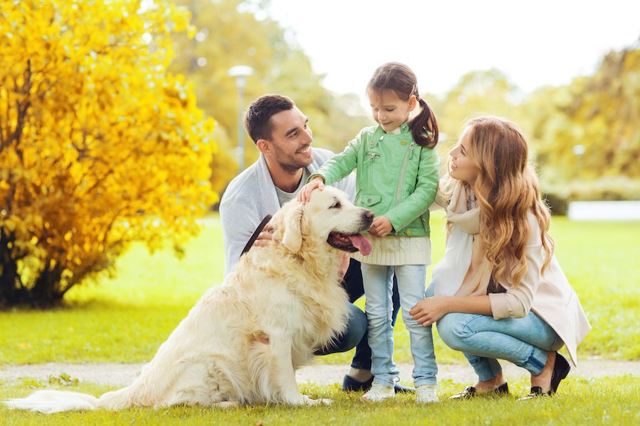 犬が「夫婦円満」をもたらす？ペットが家庭に与える良い影響