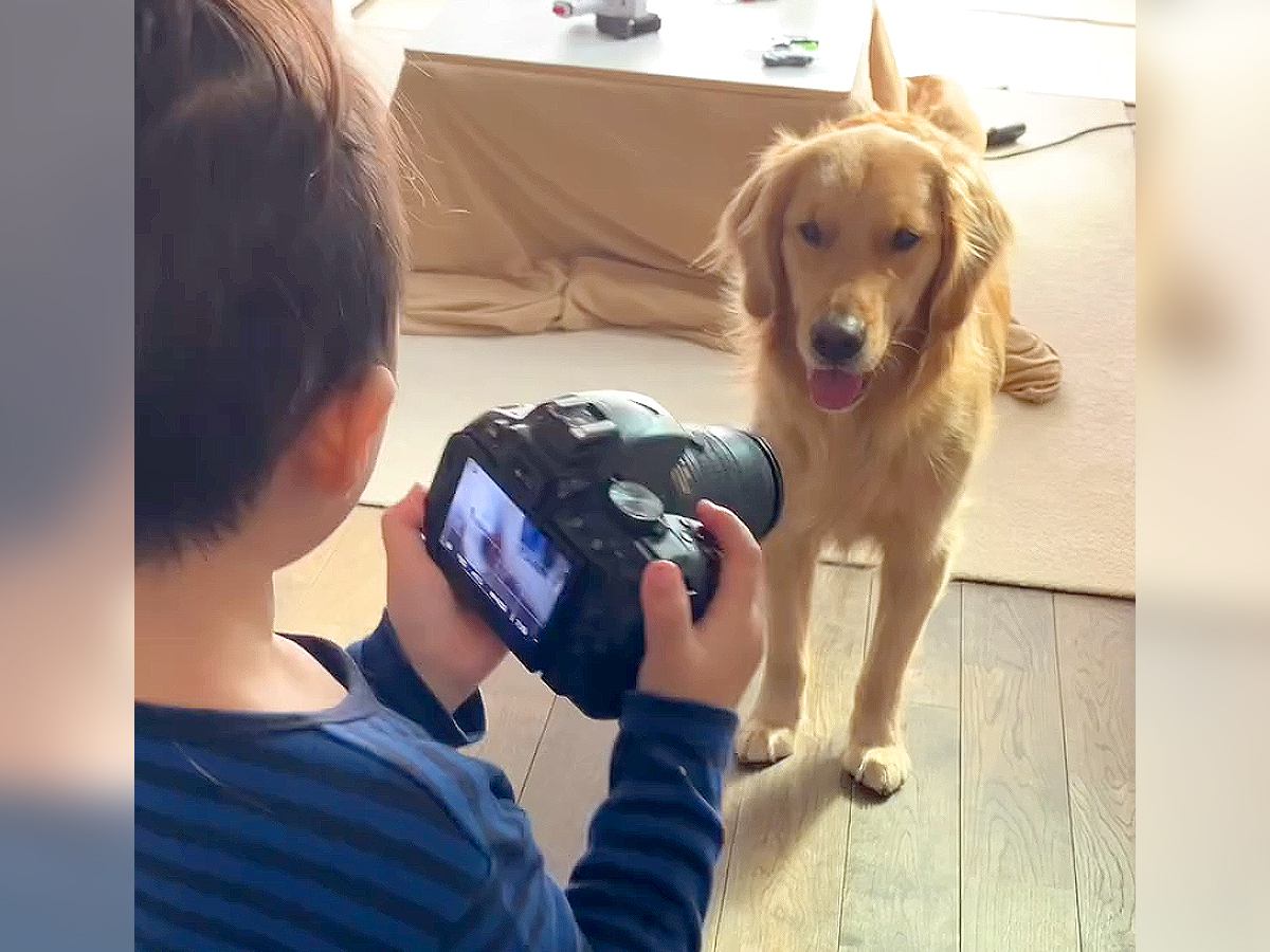 4歳の男の子が『カメラに興味を持った』結果…可愛すぎる『大型犬との撮影会』が微笑ましいと話題に　エモい光景が1万8000再生の反響