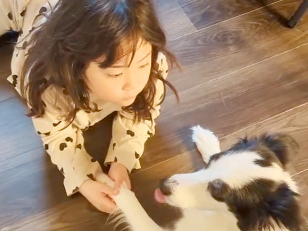 一緒に育ってきた女の子と犬→まるで『本当の姉妹』のようで…強い絆が感じられる尊い光景が13万再生「愛が大きい」「可愛すぎる」と大絶賛の声